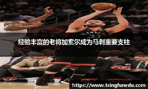 利来w66ag旗舰厅